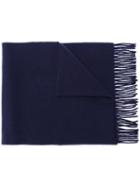 Polo Ralph Lauren Logo Embroidered Scarf - Blue