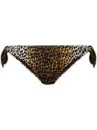 Dolce & Gabbana - Leopard Print Bikini Bottoms - Women - Polyamide/spandex/elastane - Iv, Brown, Polyamide/spandex/elastane