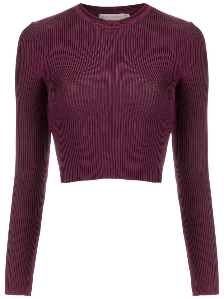 Cecilia Prado - Knit Crop Top - Women - Spandex/elastane/viscose - P, Red, Spandex/elastane/viscose