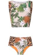 Brigitte Brigitte 7cr17fo Folhas/onça Polyamide/spandex/elastane -