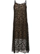 Aula Knitted Floral Dress - Black