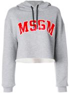 Msgm Logo Cropped Hoodie - Grey