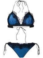 Oseree - Blue