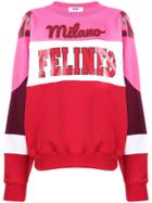Msgm 'milano Felines' Sweatshirt - Red