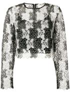Dvf Diane Von Furstenberg Floral Lace Crop Top - Black