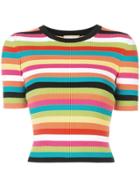 Michael Kors Collection Striped Ribbed Top - Multicolour