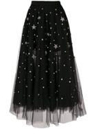 Wandering Embroidered Tulle Skirt - Black