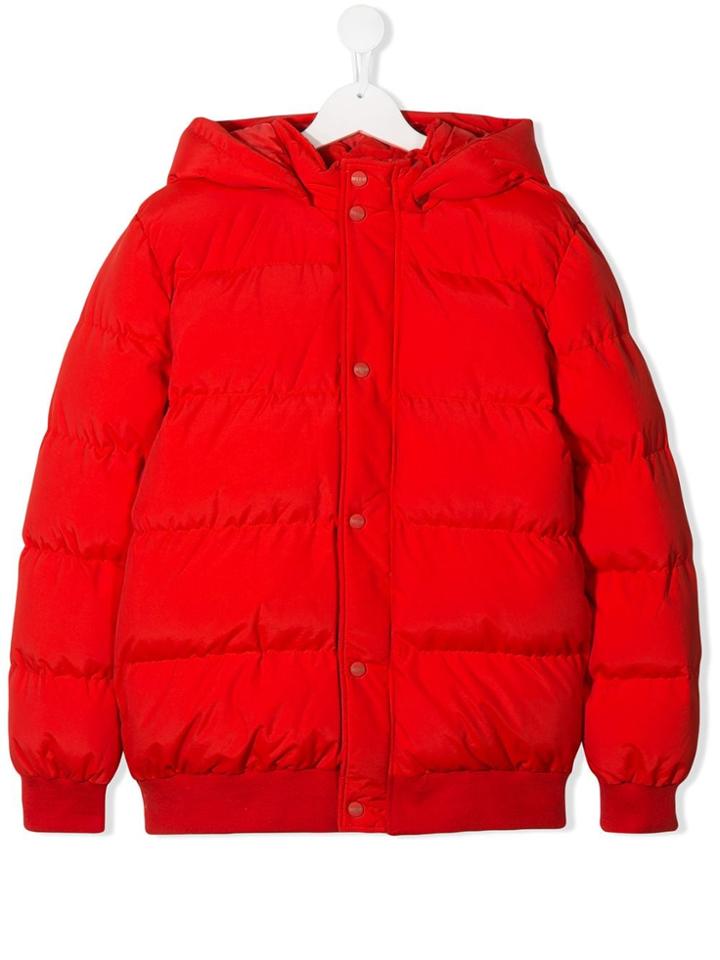 Msgm Kids Teen Quilted Jacket - Red