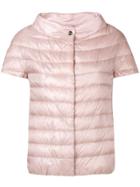 Herno Shortsleeved Puffer Jacket - Pink