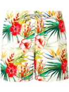 Mc2 Saint Barth - Floral Print Swim Shorts - Men - Polyamide/polyester/spandex/elastane - Xl, Polyamide/polyester/spandex/elastane