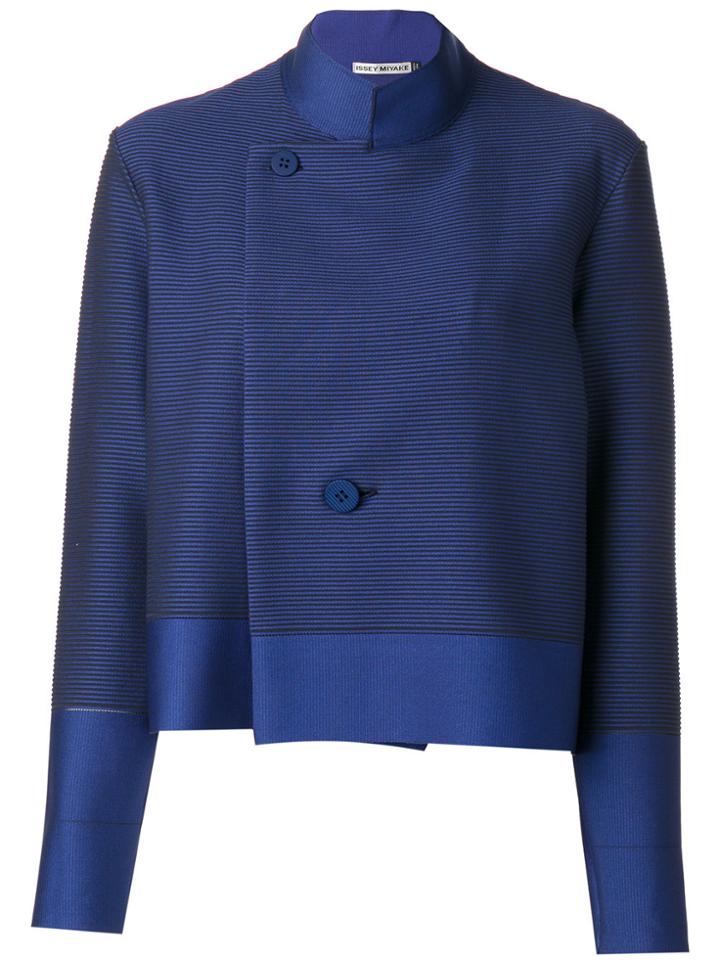 Issey Miyake Striped Jacket - Blue