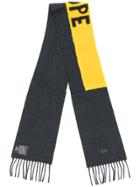 Fendi Hope Embroidered Scarf - Grey