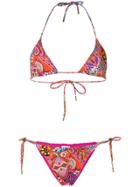 Etro Mixed Print Bikini Set - Multicolour