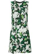Dolce & Gabbana White Geranium Printed Cady Dress - Green
