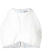 Emilia Wickstead Cropped Top