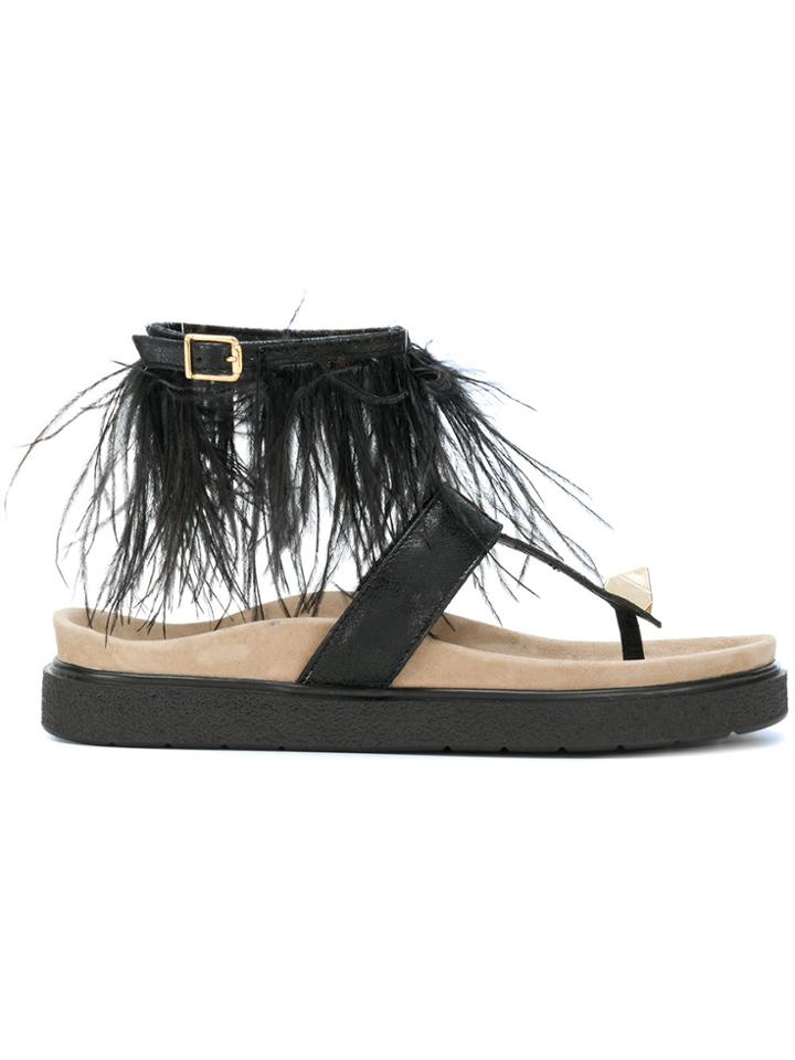 Inuiki Feather Embellished Sandals - Black