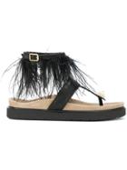 Inuiki Feather Embellished Sandals - Black