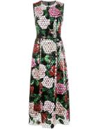 Dolce & Gabbana Floral Hologram Flare Dress - Black
