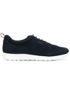 Geox Elasticated Fastening Sneakers - Blue