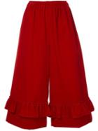Shrimps - Red