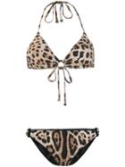 Dolce & Gabbana Leopard Print Bikini - Brown