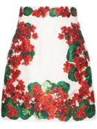 Dolce & Gabbana Geranium Print A-line Skirt - Red