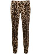 Dolce & Gabbana Leopard Print Skinny Trousers - Brown