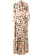 Dolce & Gabbana Lily-print Pussy Bow Maxi Dress - Pink