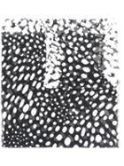 Marc Jacobs - Printed Scarf - Women - Silk/modal - One Size, Black, Silk/modal