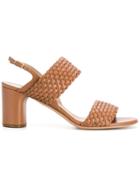 Casadei Woven Strap Sandals - Brown