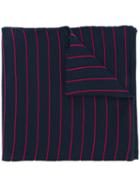 Striped Scarf, Women's, Blue, Acetate/wool, Reality Studio