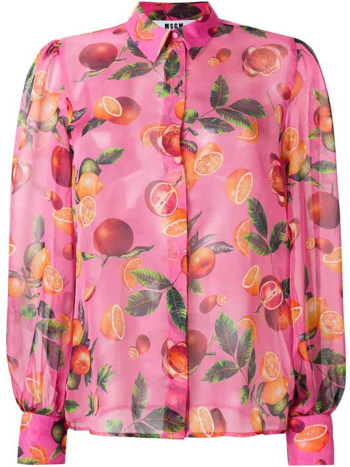 Msgm Fruit Print Sheer Blouse - Pink