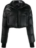 Philipp Plein Cropped Puffer Jacket - Black