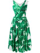 Dolce & Gabbana Banana Leaf Print Dress, Women's, Size: 40, White, Cotton