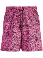 Amiri Leopard Print Shorts - Pink