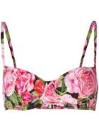 Dolce & Gabbana Rose Print Bikini Top, Women's, Size: I, Pink/purple, Polyamide/spandex/elastane