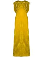 Erika Cavallini Velvet Empire Gown - Yellow & Orange
