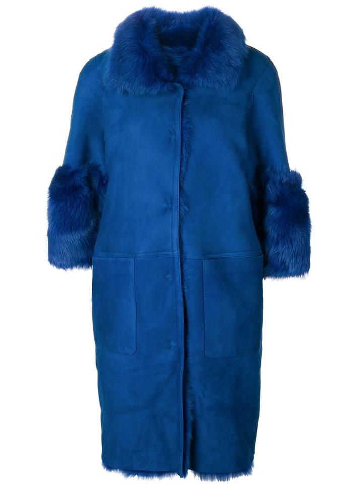 Desa Collection K11377royal - Blue