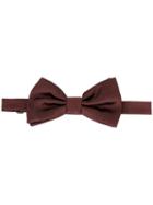 Dolce & Gabbana Hooked Bow Tie - Brown