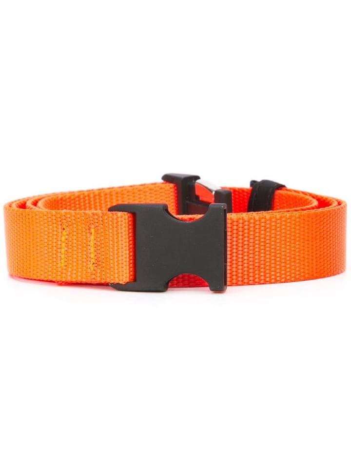 The Celect - Orange
