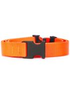 The Celect - Orange