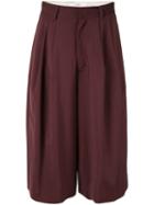 G.v.g.v. Pleated Cropped Trousers - Brown