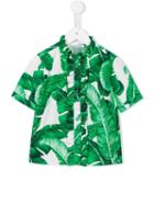 Dolce & Gabbana Kids Banana Leaf Print Shirt, Girl's, Size: 8 Yrs, Green