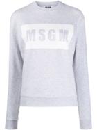 Msgm Box Logo Print Sweater - Grey