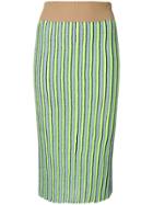 Circus Hotel Striped Pencil Skirt - Green