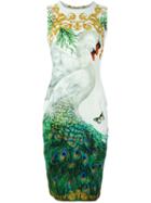 Versace Collection Swan And Peacock Print Fitted Dress