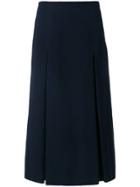 Alberto Biani Pleated A-line Skirt - Blue