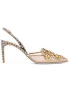René Caovilla Lace And Ayer Pumps - Nude & Neutrals