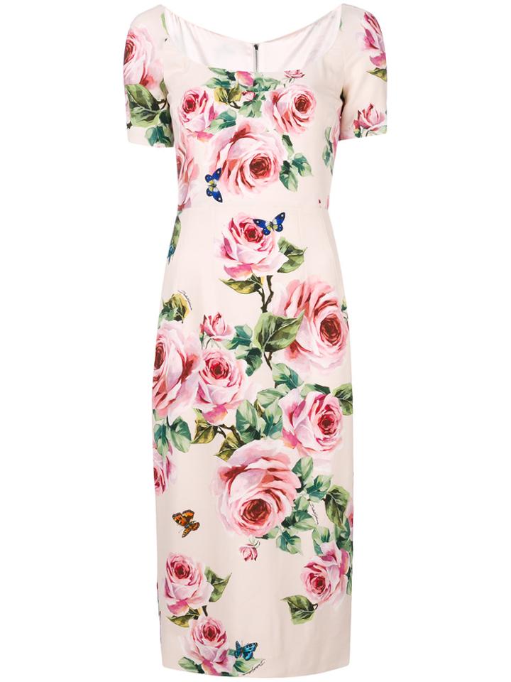 Dolce & Gabbana Rose Print Midi Dress - Pink & Purple