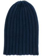 Laneus Ribbed Knit Hat - Blue
